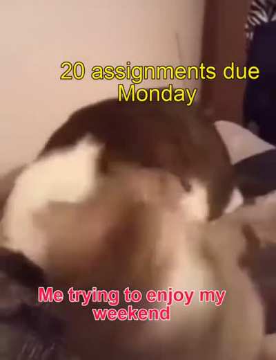 I want to rest :(