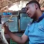 Ohh snake