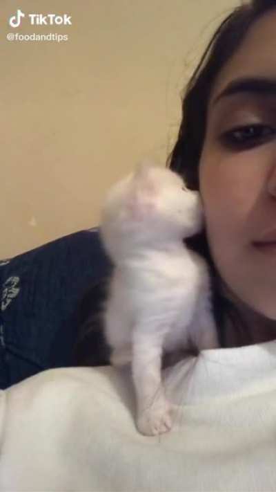 Kitty kissed back