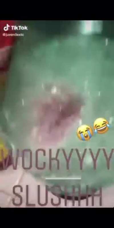 Wockyyyy Slushhh