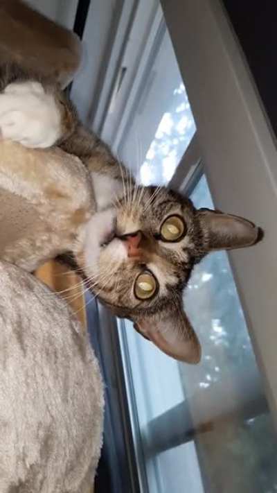 Crazy lady!