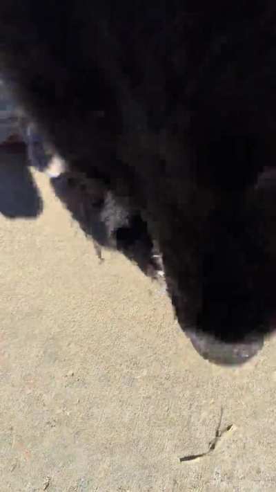 No take. Only throw.
