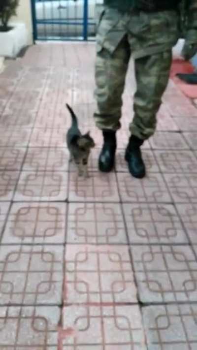 This kitten born and raised on a Turkish military base ‘marches’ with the soldiers!