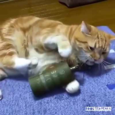 Ой