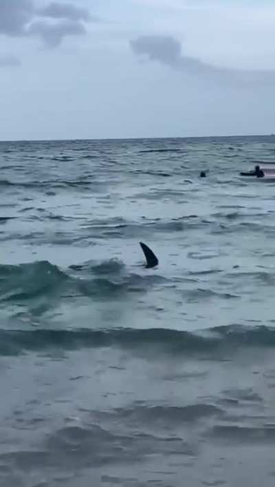 Maybe Maybe Maybe