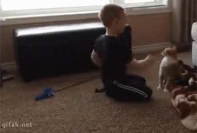 Slapping the kitty.