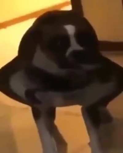 Uon