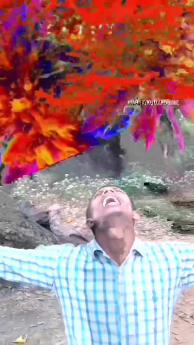 Holi is coming