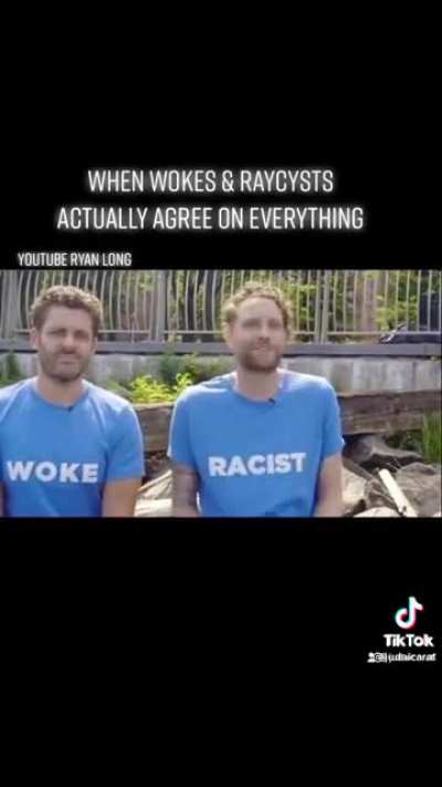 When racists and wokes agree on everything