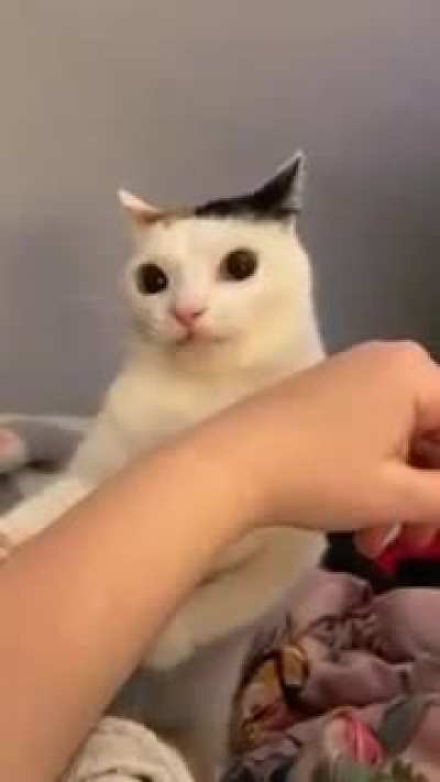 NANIKPosting - Video #0011