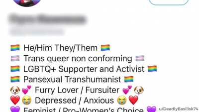 Episode XX Average Twitter Bio