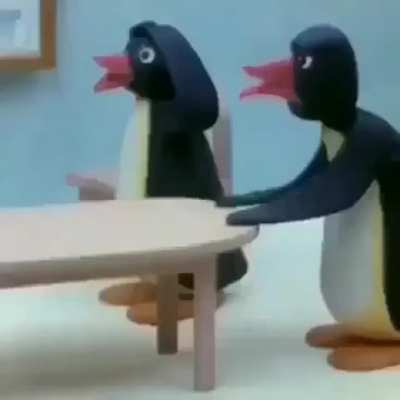 Pp