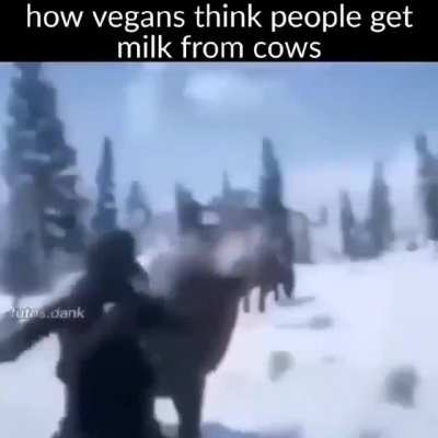 Cow go brrr