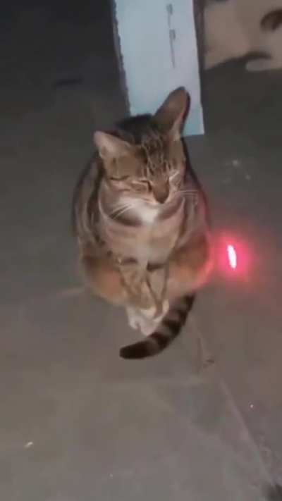 Be like cat.