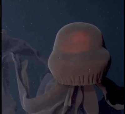 Phantom of the Depths, feared by all and fears none