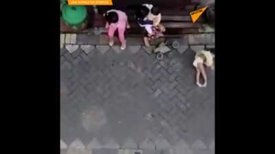 Pkklı maymun çocuk kaçırıyor amk