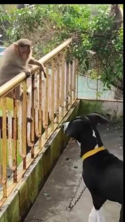 Let's be friends..