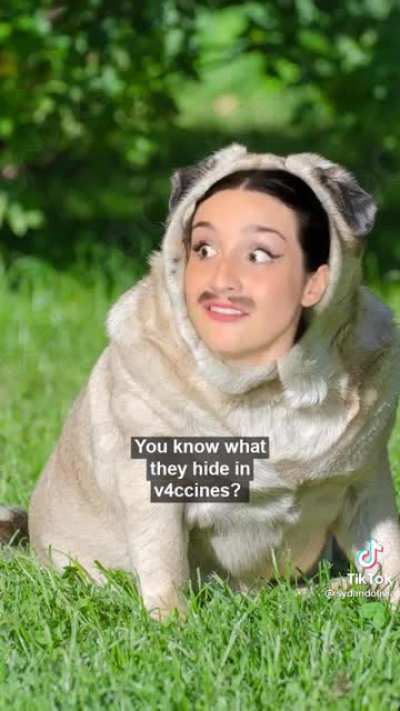 Adopting a dog