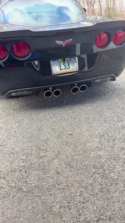 Finally was able to get her out of the garage this spring!