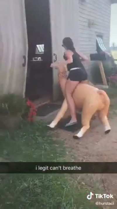 *Звуки альпачьего охуевания*