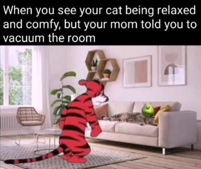 Sorry catto, gotta do it