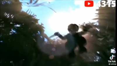 Brazil lore