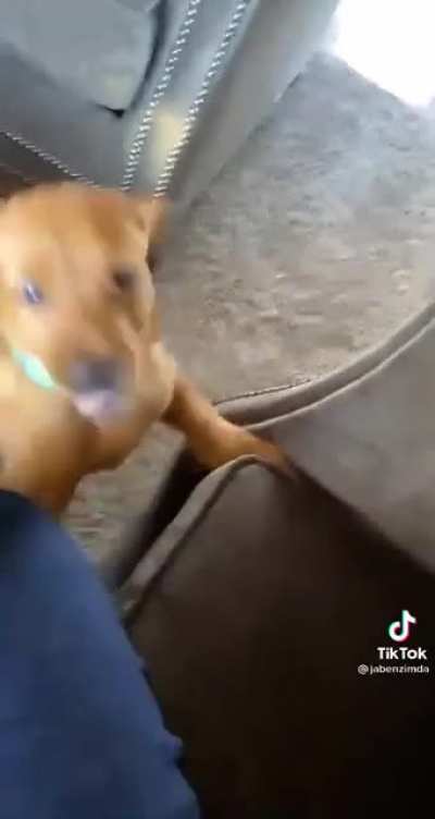 nom