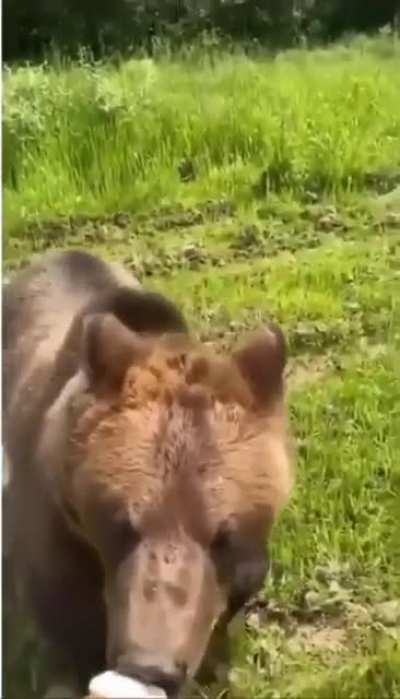 Run