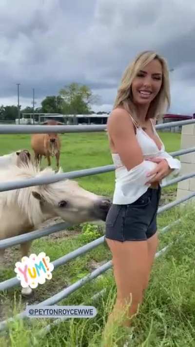 That pony knows what's up