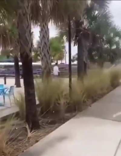 free like the wind..