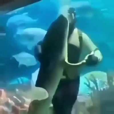 🐬🐬🐬🐬