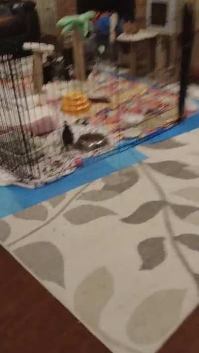 Too tiny for her own good