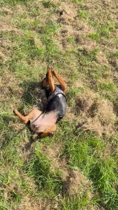 When the cut grass just smells amazing.