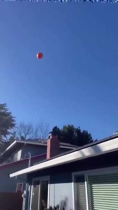 This is super satisfying to watch