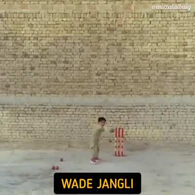 T20 World Cup Roundup pt.4 by MirzaLalBaig