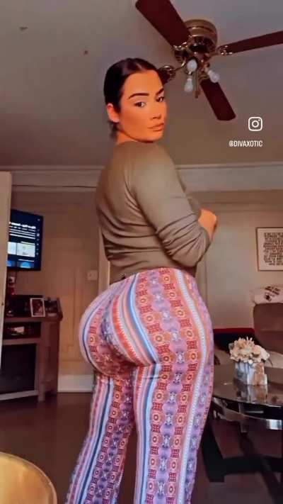 Dumpy 