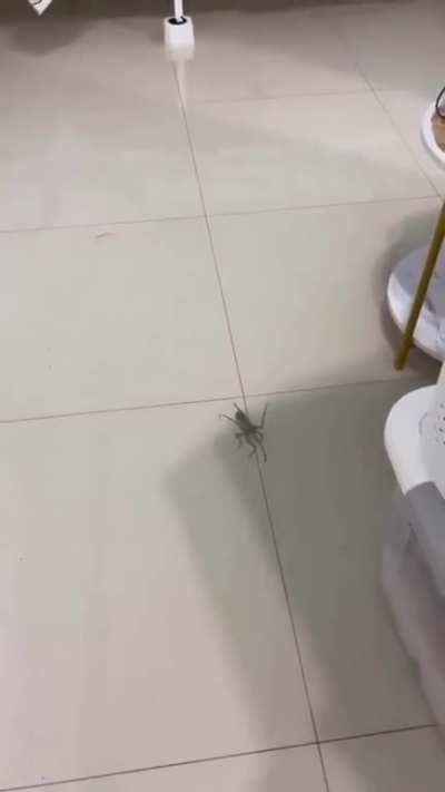 Hello there, friend