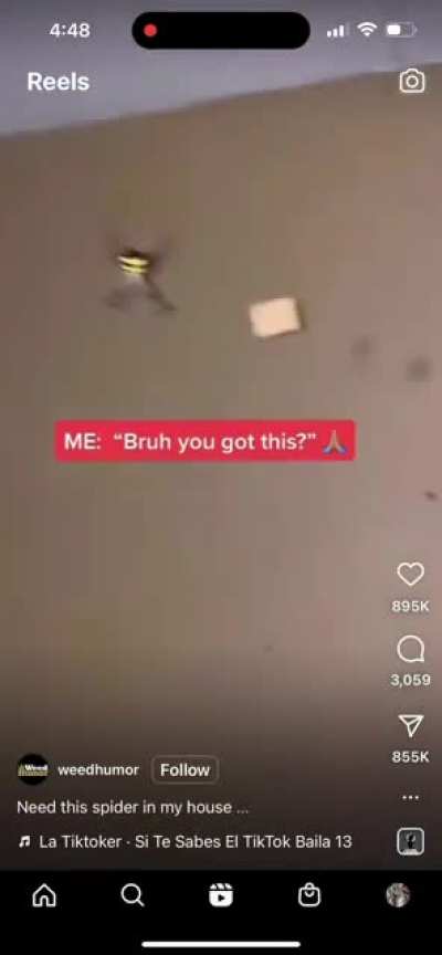 Helpful bro