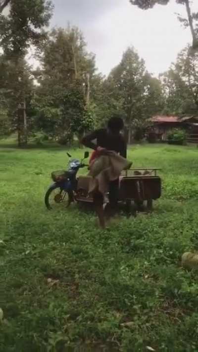 Catching a durian