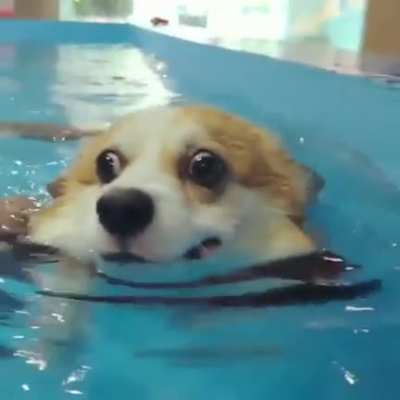 Blessed_Swimming