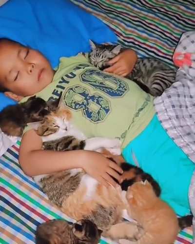 snuggle buddies