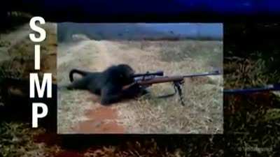 sniper monkey...