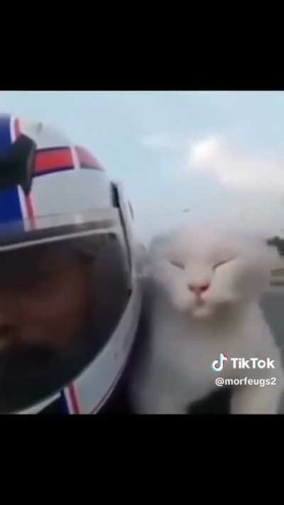 Wuhdndjfndnnsnd