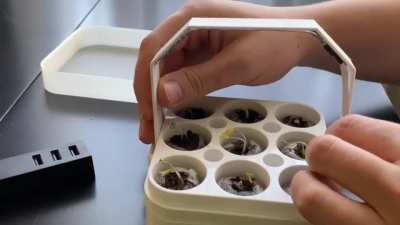 Made a tiny little seedling planter for my chillies