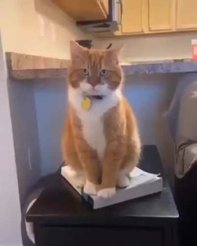 Charlie's spot