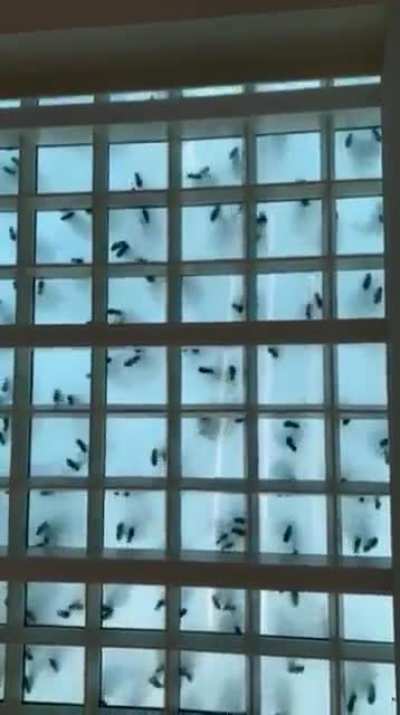 Visão de baixo de pessoas dançando sobre um chão de vidro
