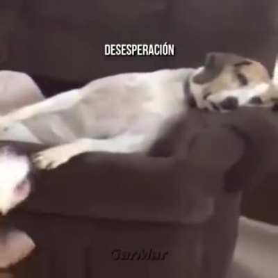 Elige sabía mente 😌