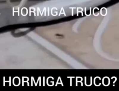 Tercer post del día. El shitpost es mi pasión