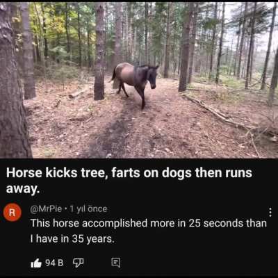 horse episode popped up ep4