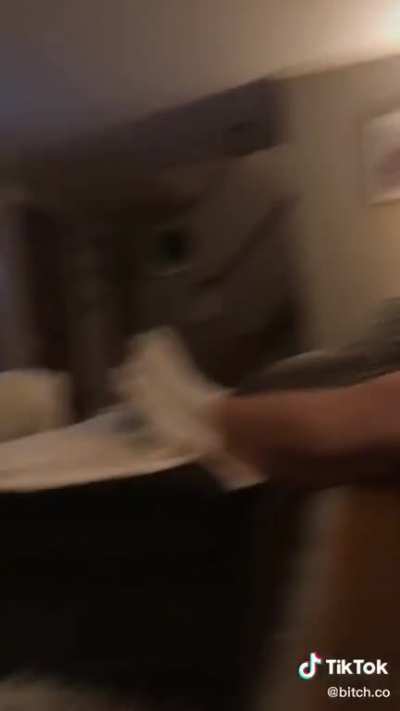 From tik tok but still very chaotic (turn sound on for full effect)